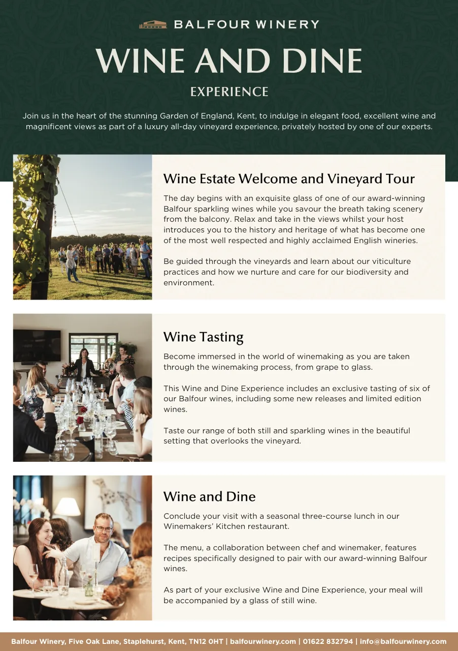 Content marketing flyer designed for a wine brand